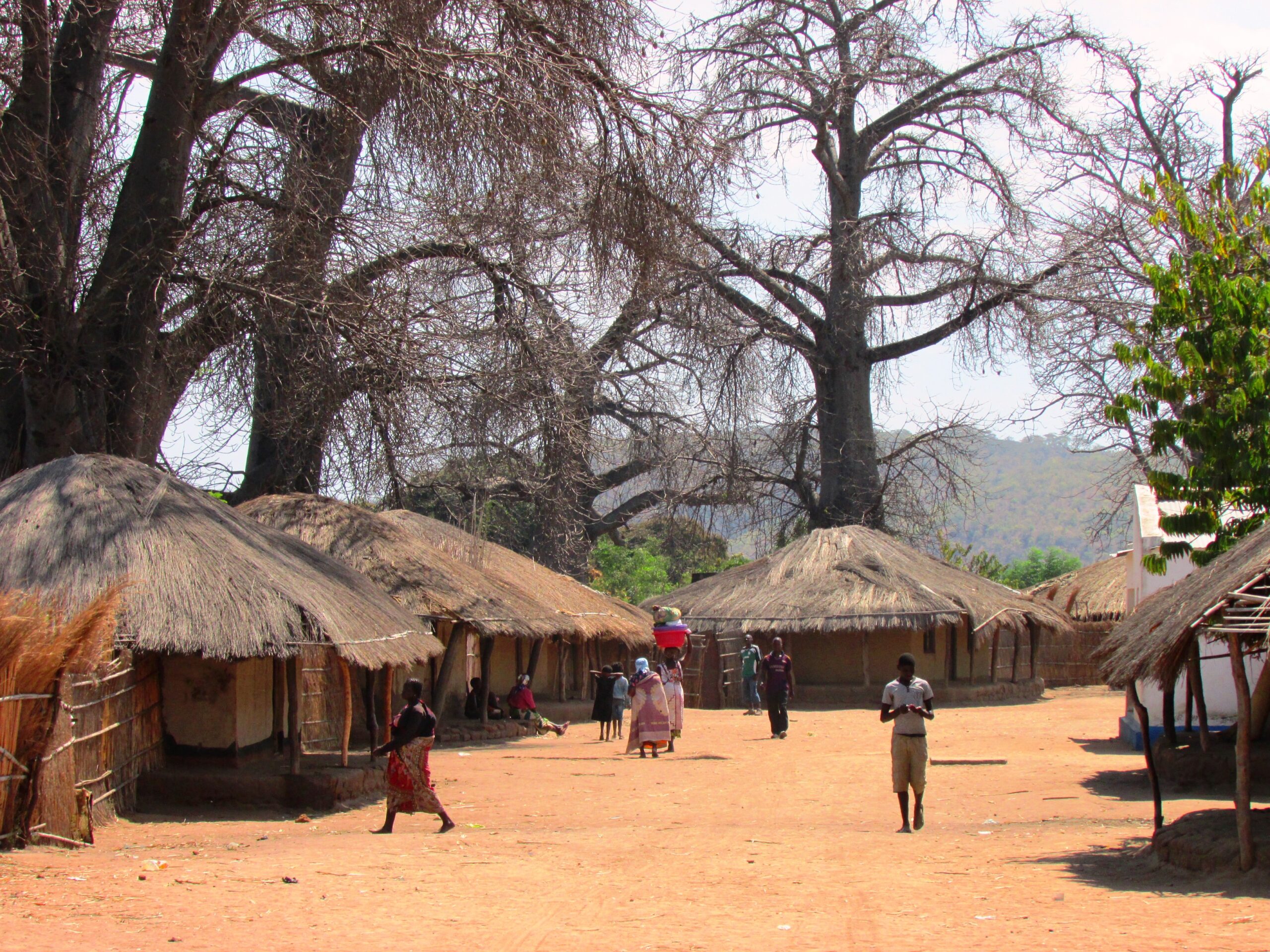 Off-Grid / Rural Electrification
