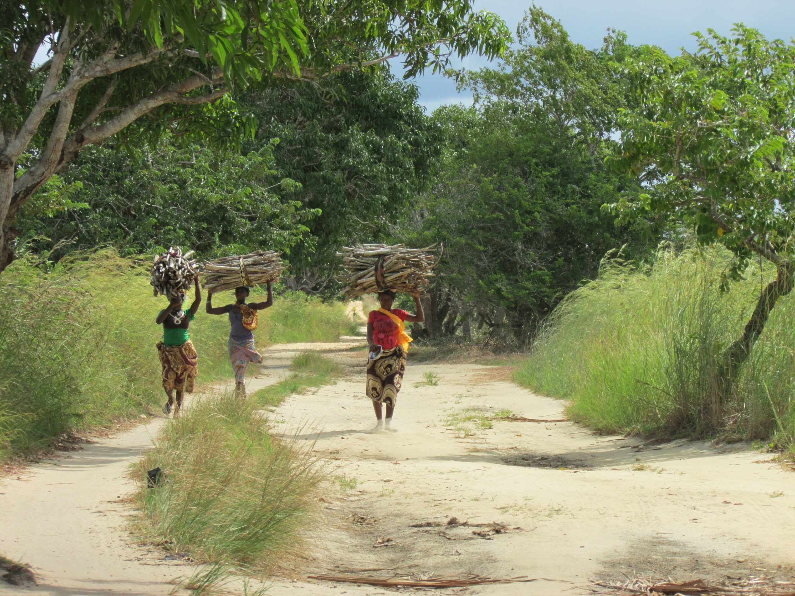 Climate change mitigation and adaptation